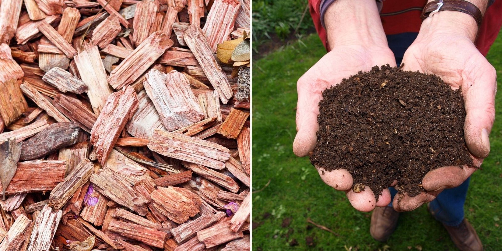 protéger les racines